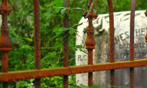 phill55188-cc-by-nd צילום: phill55188-cc-by-nd חינוך