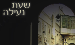  תרבות