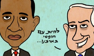 ארמדיל צילום: ארמדיל ארמדיל