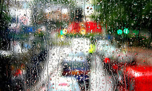 law_keven-cc-by-sa צילום: law_keven-cc-by-sa לייף סטייל