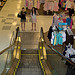 Flickr:emutree-cc צילום: Flickr:emutree-cc חדשות