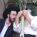 yanec-cc-by צילום: yanec-cc-by חדשות