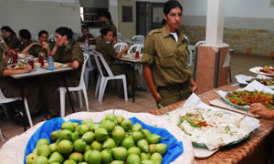 צילום אילוסטרציה: דובר צהל צילום: צילום אילוסטרציה: דובר צהל יהדות