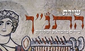  תרבות