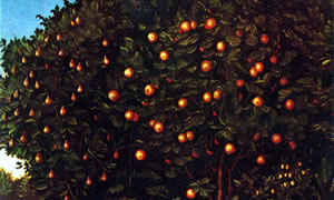 Lucas Cranach צילום: Lucas Cranach פרשת בראשית