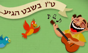 ארמדיל צילום: ארמדיל ארמדיל