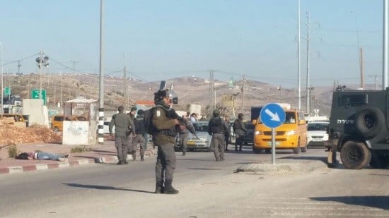 יצחק עמרני צילום: יצחק עמרני חדשות