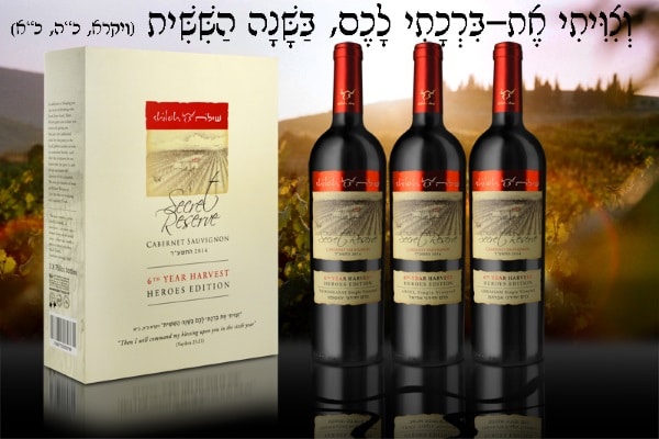 שילה גיבורים