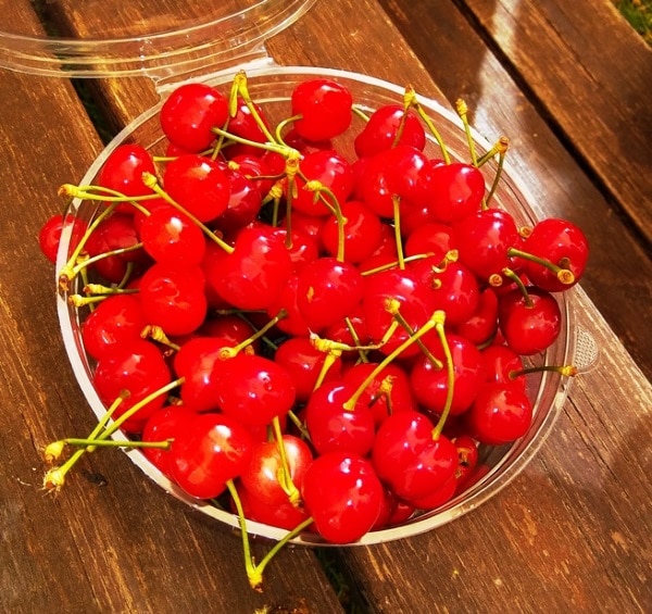 דובדבנים ברמת רחל