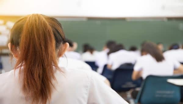 תלמידה כיתה בית ספר צילום: shutterstock חינוך